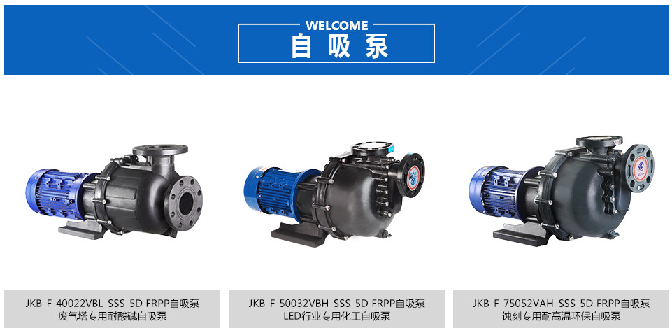 耐酸堿自吸泵制藥的工作原理